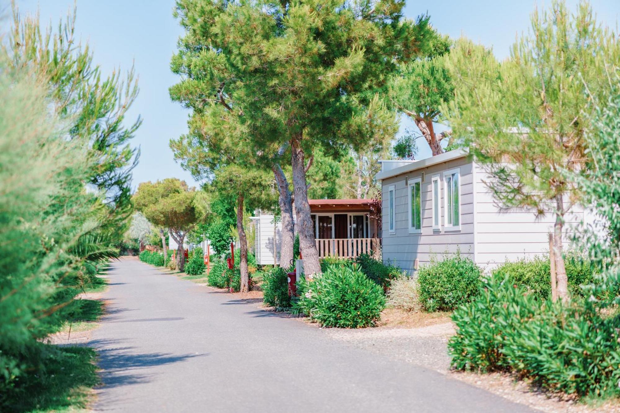 Toscana Bella Camping Village Vada Exterior foto